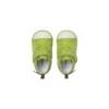 Chuck Taylor All Star Fruity “Green”