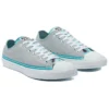 Chuck Taylor All Star Low “Summer Daze – Ash Stone”
