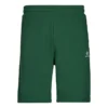 Go-To Embroidered Star Chevron Standard-Fit Fleece Short Asia Sizing “Green”