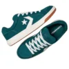 Pro Blaze Classic Low “Darkly Jaded”